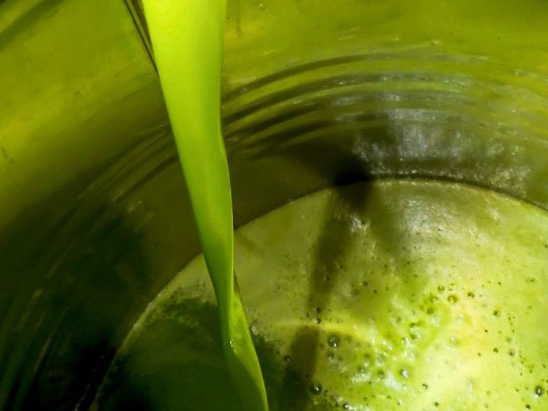 Extra Virgin Olive Oil: A Journey Between Health and Taste