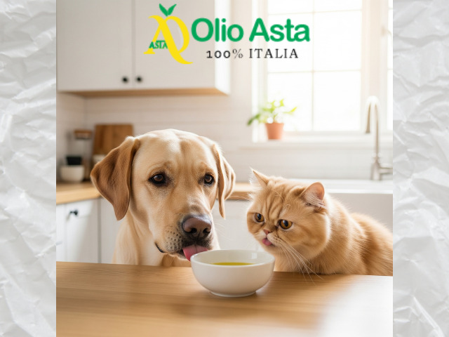 Olive Oil and Pet Wellness: Uses and Benefits for Our Four-Legged Friends