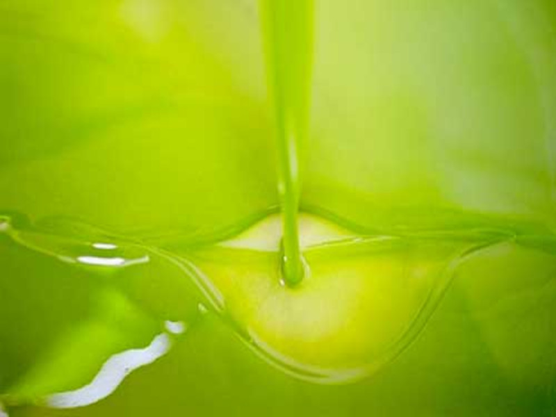 Nocellara del Belice Oil: Excellence of Sicilian Tradition